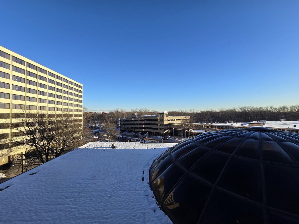 Indigo/Indie Bobcat tweet media