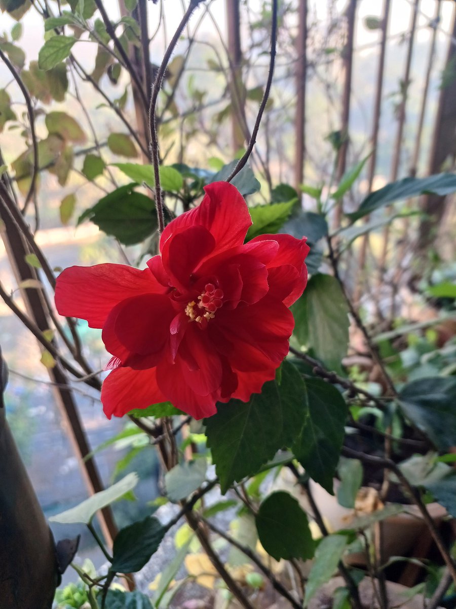 सुप्रभात दोस्तों
 🙏💐🙏