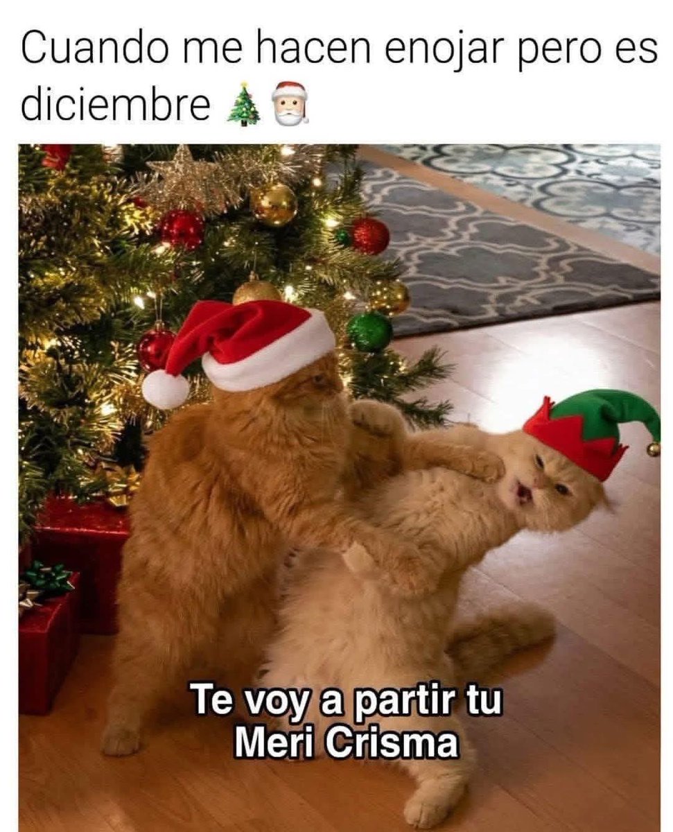 😹💦