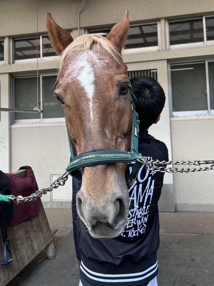 JRA福島競馬場 (@JRAFUKUSHIMA) / Posts / X