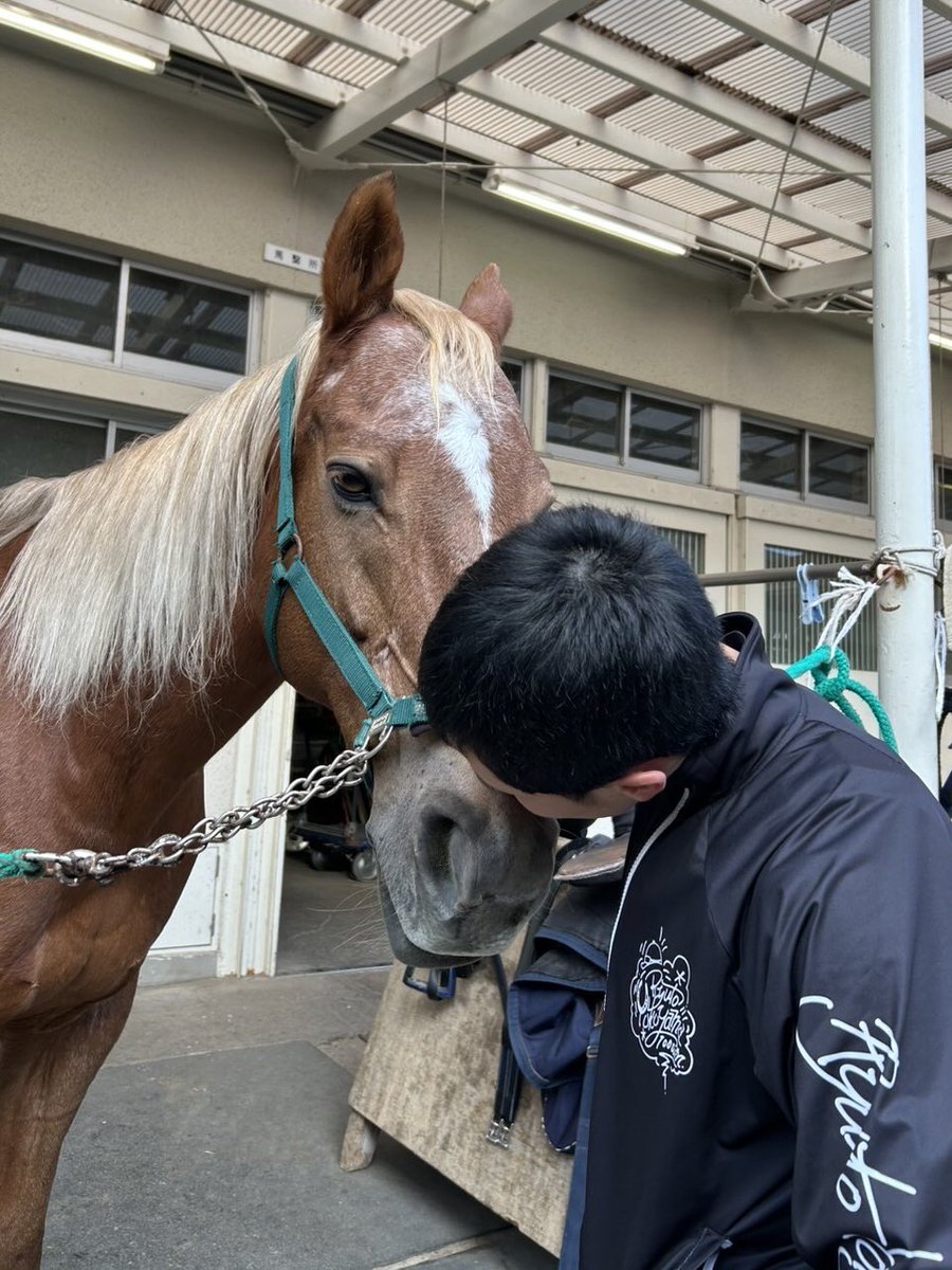 JRA福島競馬場 (@JRAFUKUSHIMA) / Posts / X