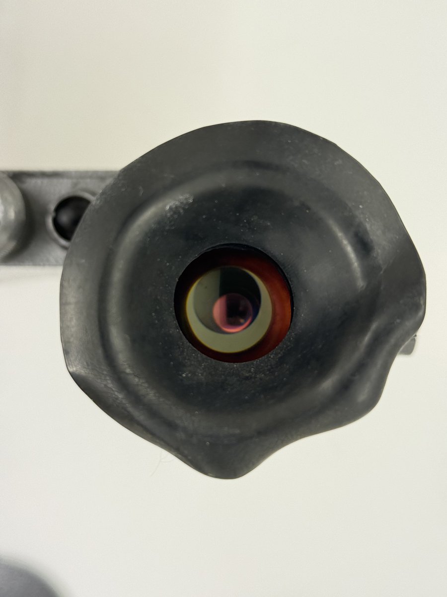 Железная Кошка tweet media