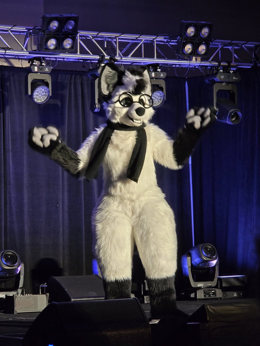 Indigo/Indie Bobcat tweet media