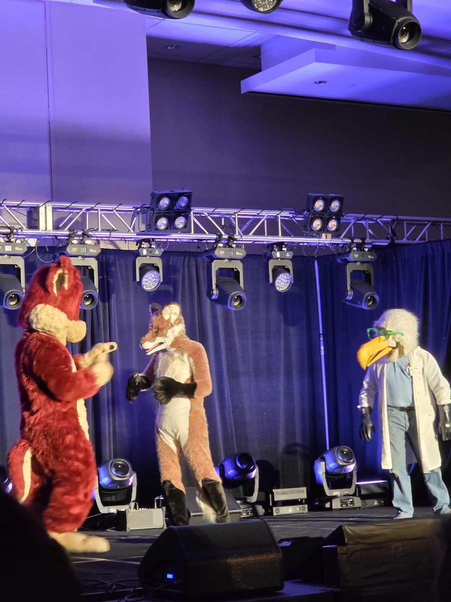 Indigo/Indie Bobcat tweet media