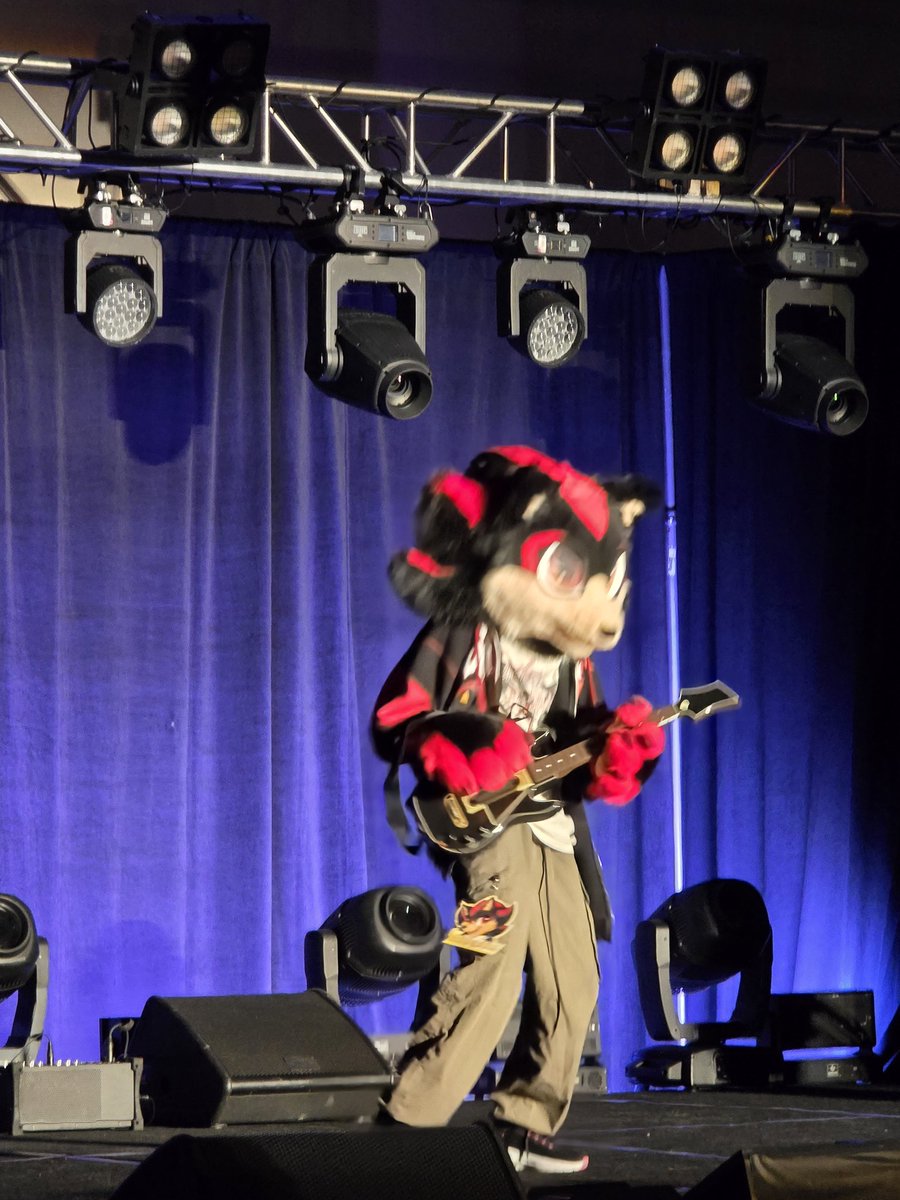 Indigo/Indie Bobcat tweet media