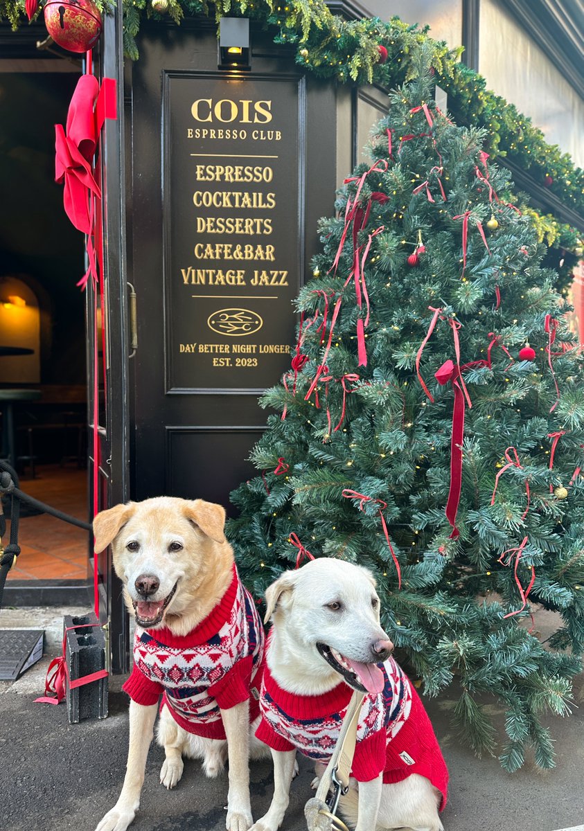marcosan0606's tweet photo. 新宿御苑からすぐのクリスマスムード全開のカフェに来た🎄☕️
#新宿御苑 #cois espresso club https://t.co/0C7TCh3UO0