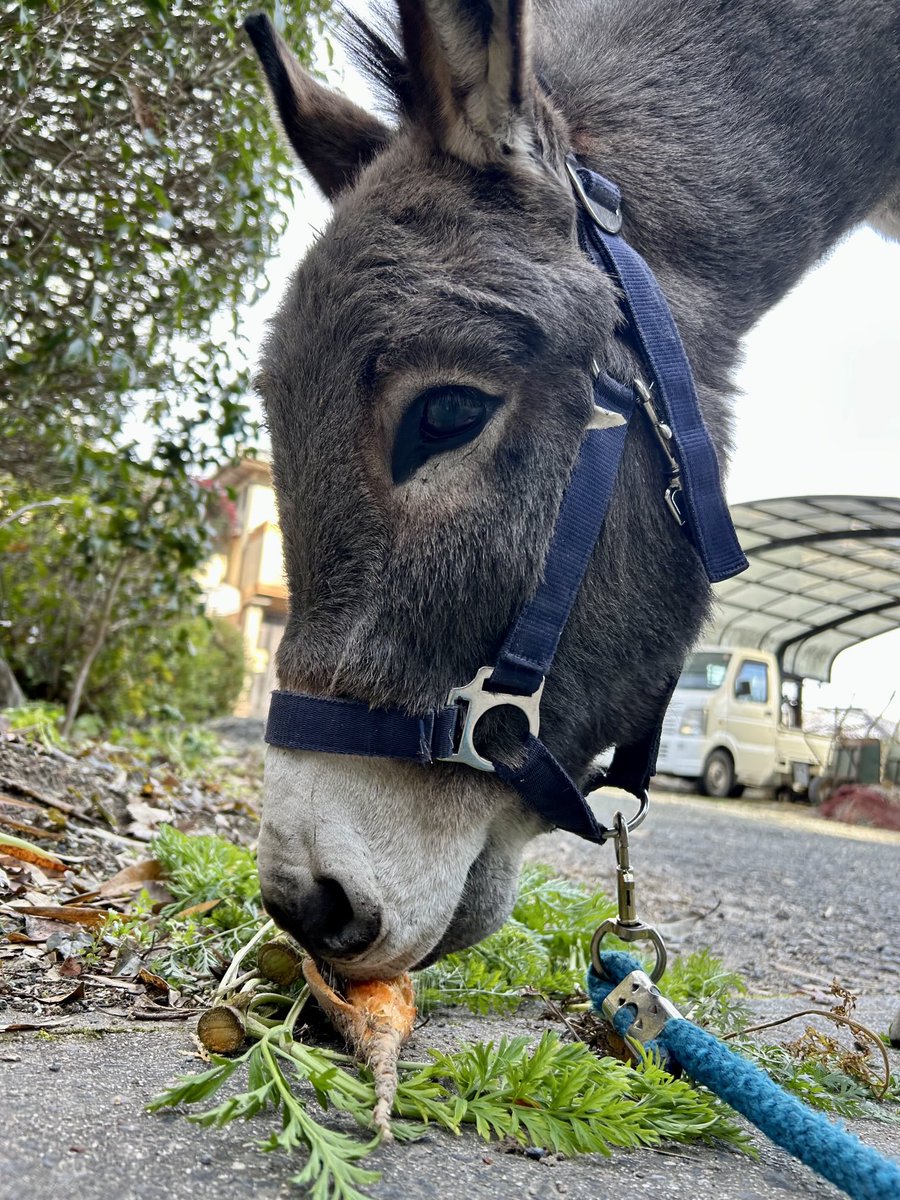 ツルキミ (@TJo95V15kl35013) / Posts / X