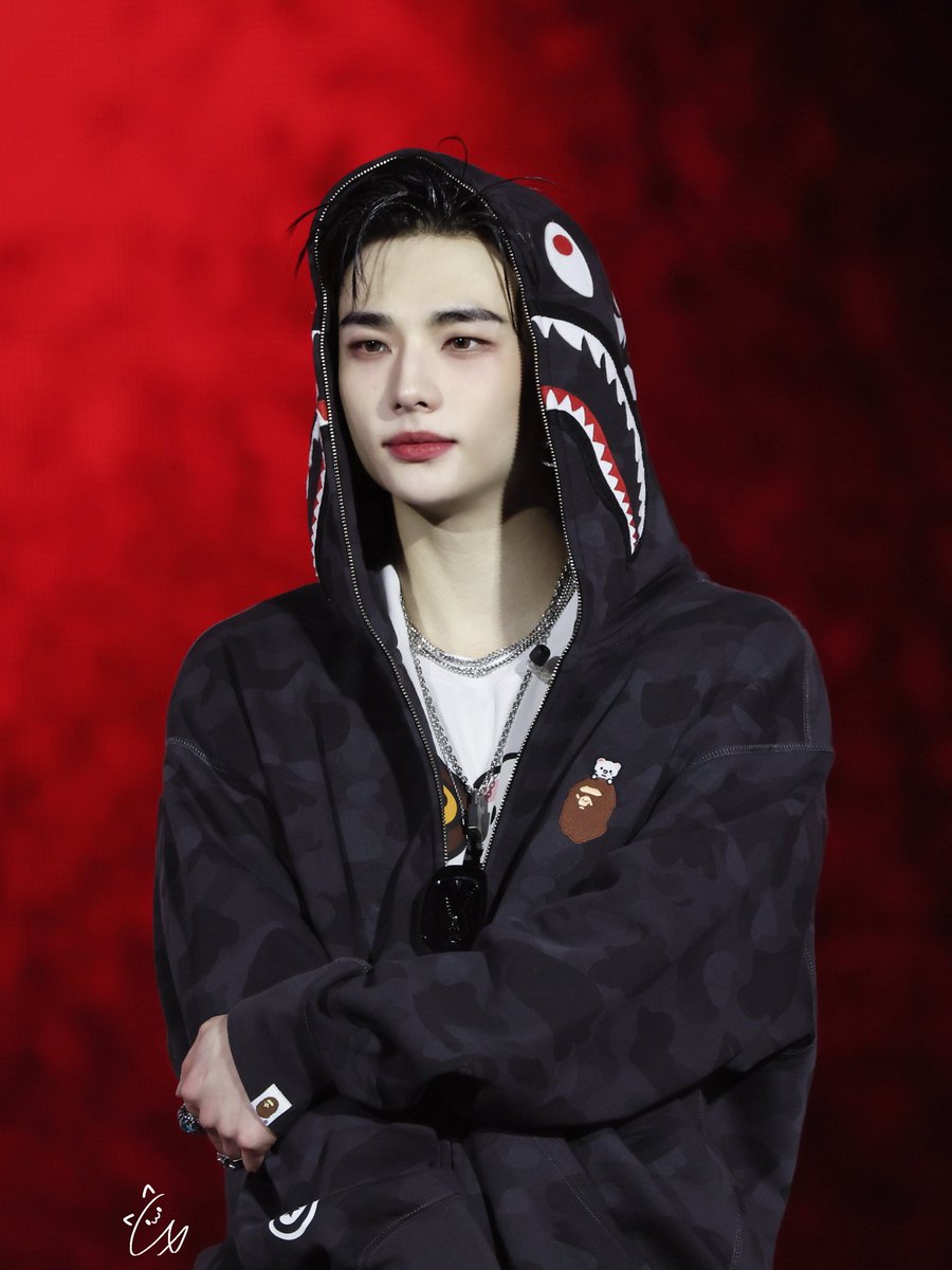 Hyunjin's BAPE ART shark hoodie, from the Stray Kids SKZoo