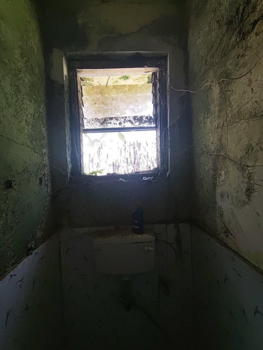 Parashar Pai Khot 🇮🇳 tweet media