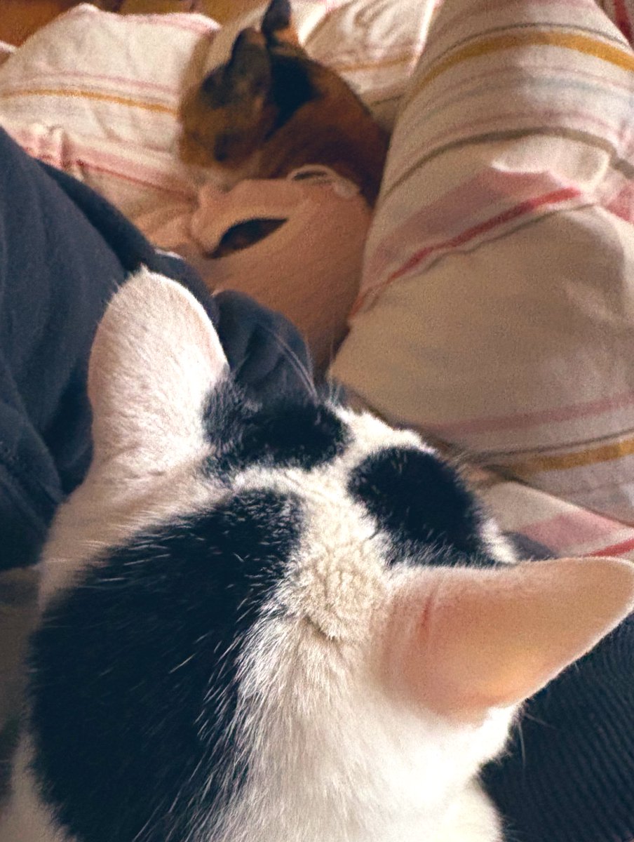 akr (@rkakr) / Posts / X