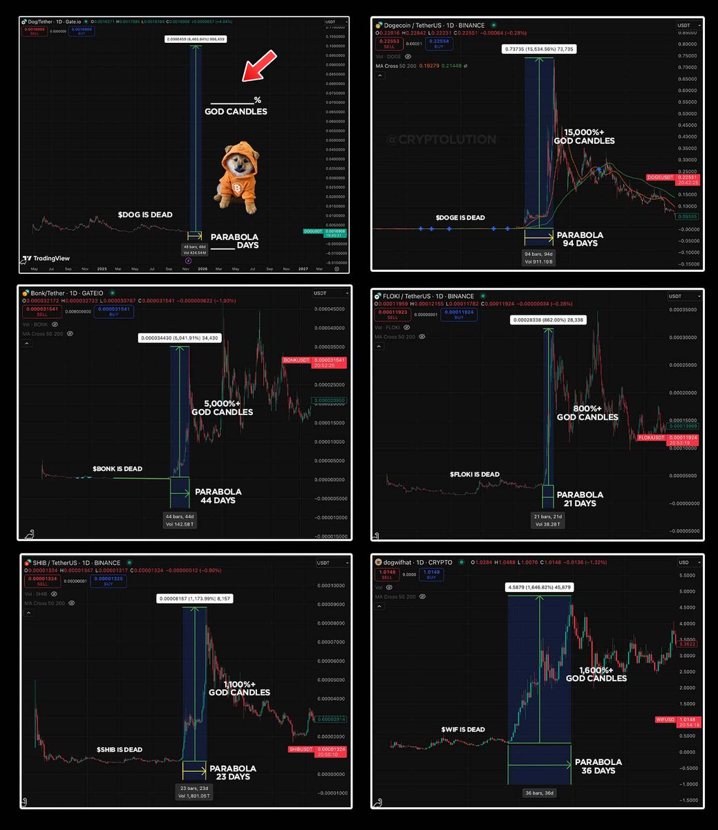 $DOG (Bitcoin) is NEXT 🚀