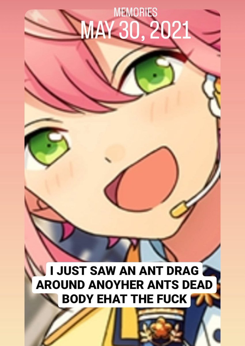 instagram stories i posted when i was 14 and my house was infested with ants for some reason