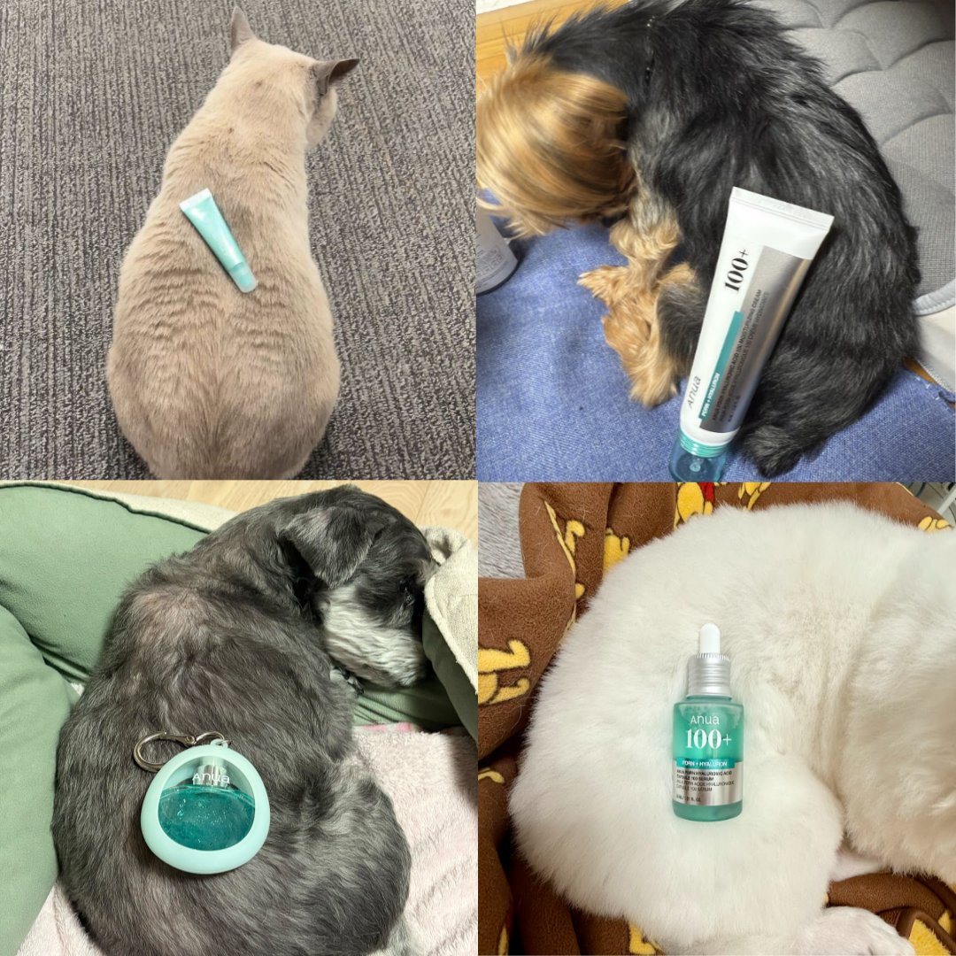 anua.jp (@anua_official) / Posts / X