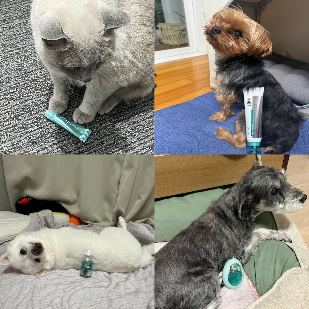 anua.jp (@anua_official) / Posts / X