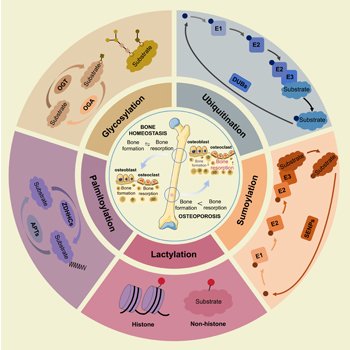 eCM Journal tweet media