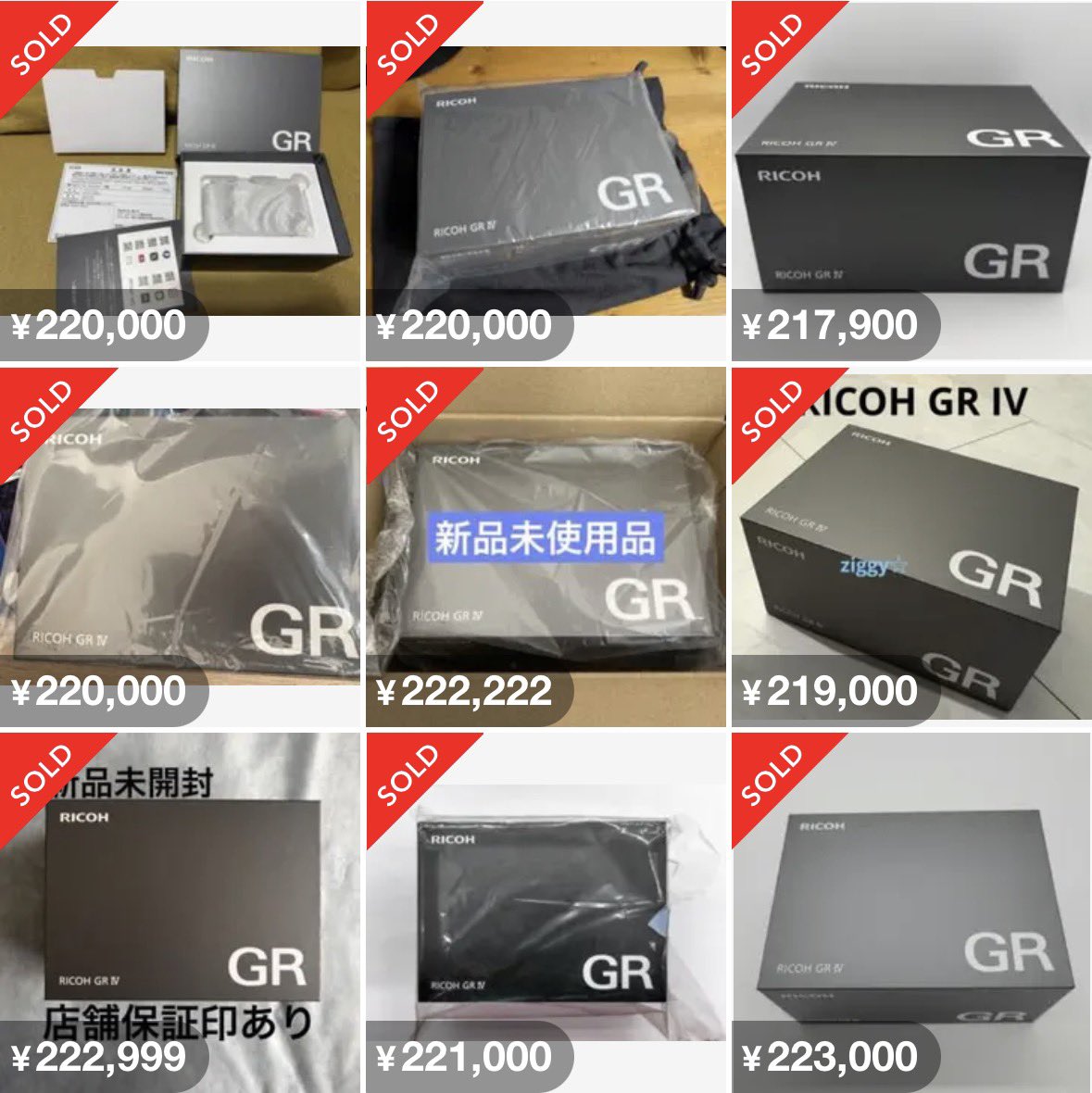 さつき　クラウドファンディング　リワード品　即日発送【最終値下げ】 さつき クラウドファンディング リワード品 即日発送【最終値下げ