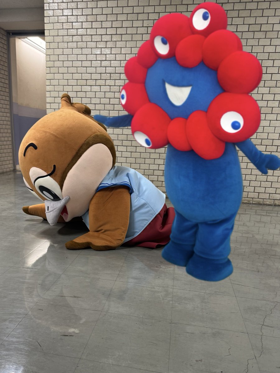 realmccoy@もずミャク万博43回おおきに (@realmccoy375) / Posts / X