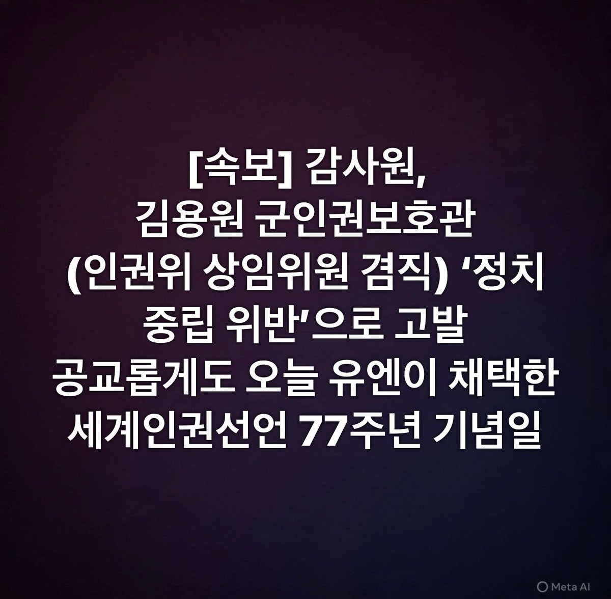 [속보] 감사원, 
국가인권위 김용원 
상임위원 겸 군인권보호관 
‘정치중립 위반’으로 고발
공교롭게도 오늘은 유엔이 채택한 세계인권선언 77주년 기념일