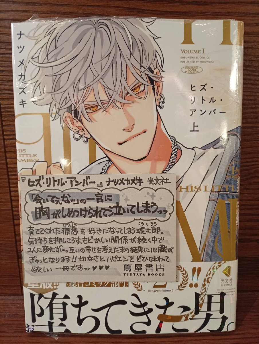 ナツメカズキ○新刊『ヒズ・リトル・アンバー』 (@ntm_kz) / Posts / X