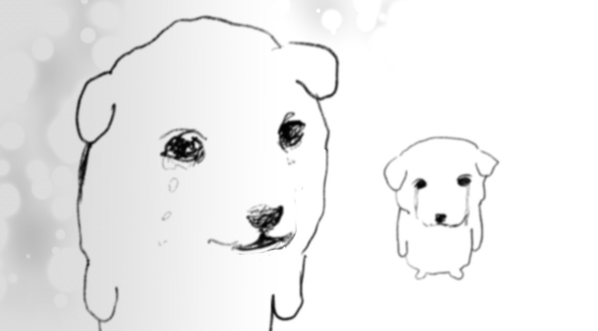 ミュ (@mamimeowo) on Twitter photo 