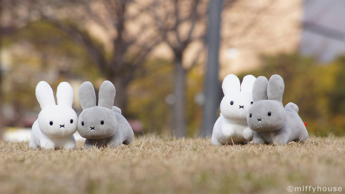 みっふい【再出品】