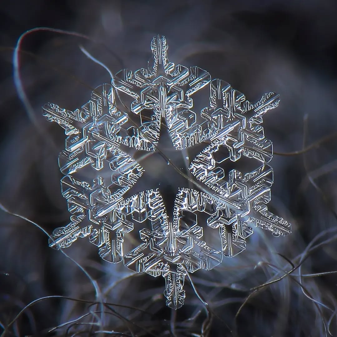 AcervoCharts's tweet image. Fotógrafo Alexey Kljatov registra a simetria perfeita e os detalhes invisíveis dos flocos de neve.