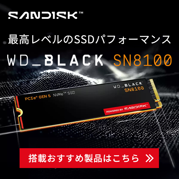 最高レベルのSSDを選ぼう WD Black SN 8100 搭載オススメカスタマイズ