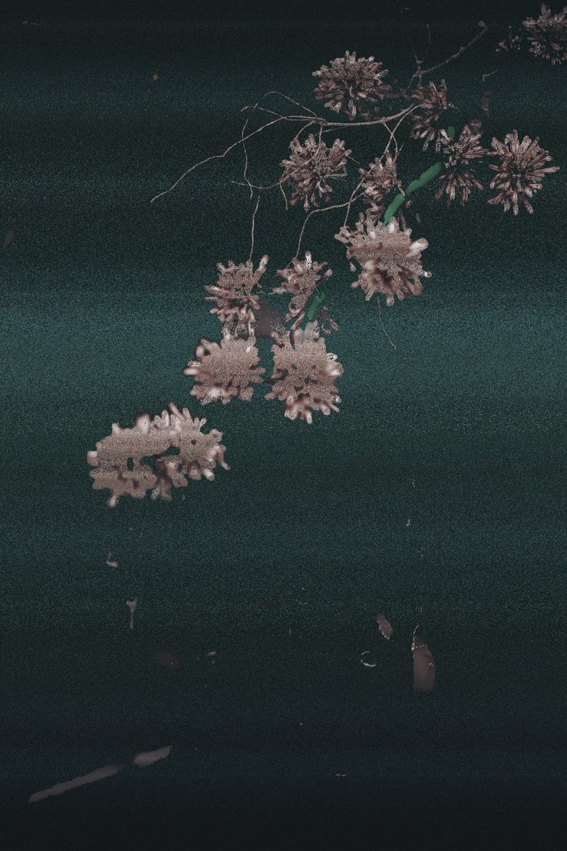 I have just collected "meet me in the garden, i've got a pocket full of seeds from tv snow" by <a href="/taimei_886/">Tai Mei (台妹)</a> 🩶

(it's a GIF, link to it below ⤵️)