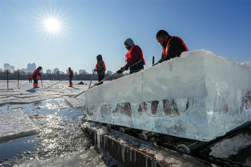 DiarioPovo's tweet image. 🧊A coleta de #gelo está em andamento nos trechos congelados do rio Songhua, em #Harbin, a "cidade do gelo" chinesa. Os blocos de gelo coletados serão esculpidos em tobogãs, castelos e outros pontos turísticos da cidade, capital da província de Heilongjiang, no nordeste da China.