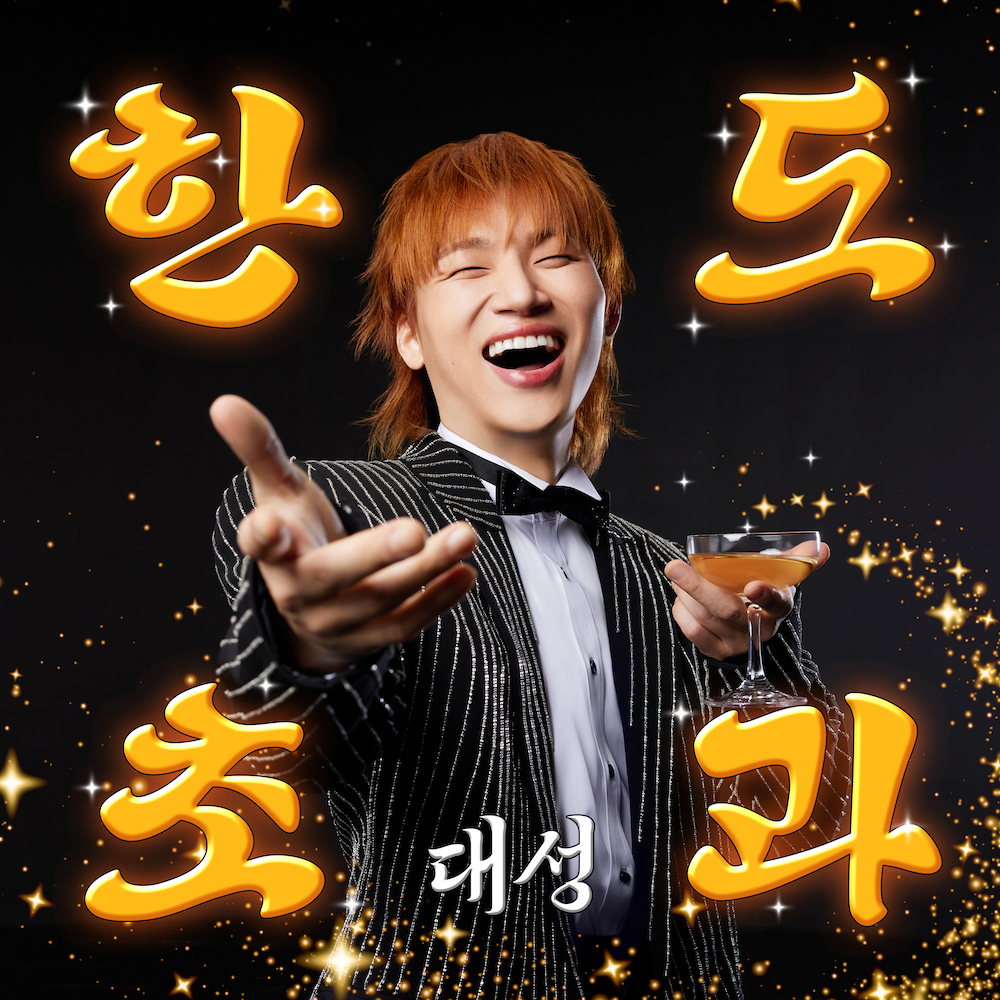 D's light D-LITE ファンクラブ限定　テソン　パーカー D's light D-LITE ファンクラブ限定 テソン パーカー D's light D-LITE