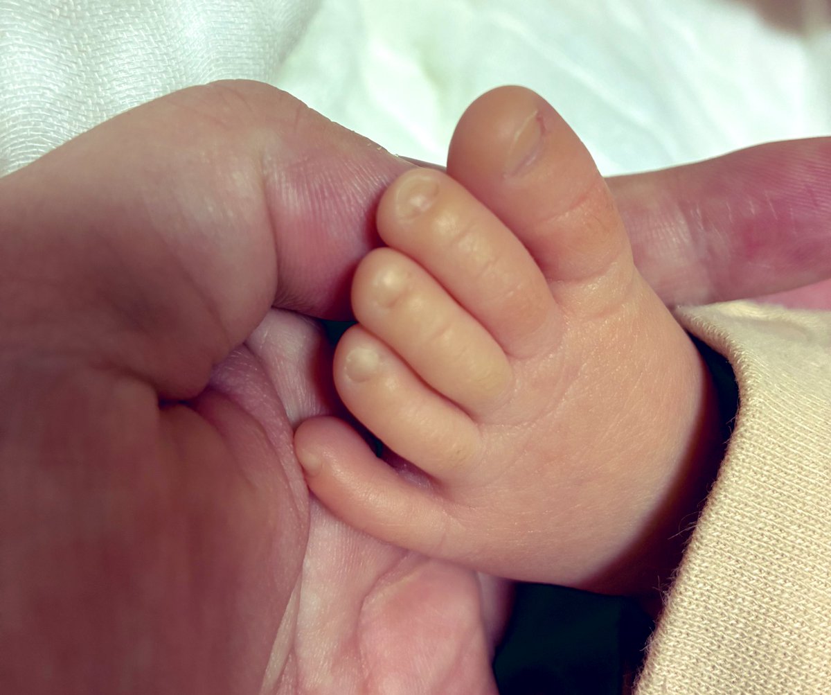 まりのすけ まりのすけ。 (@marinosuke_1984) / Posts / X