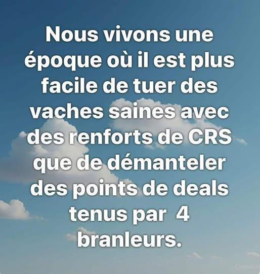 Lili Adresan🌺 (@adresansoso) on Twitter photo 