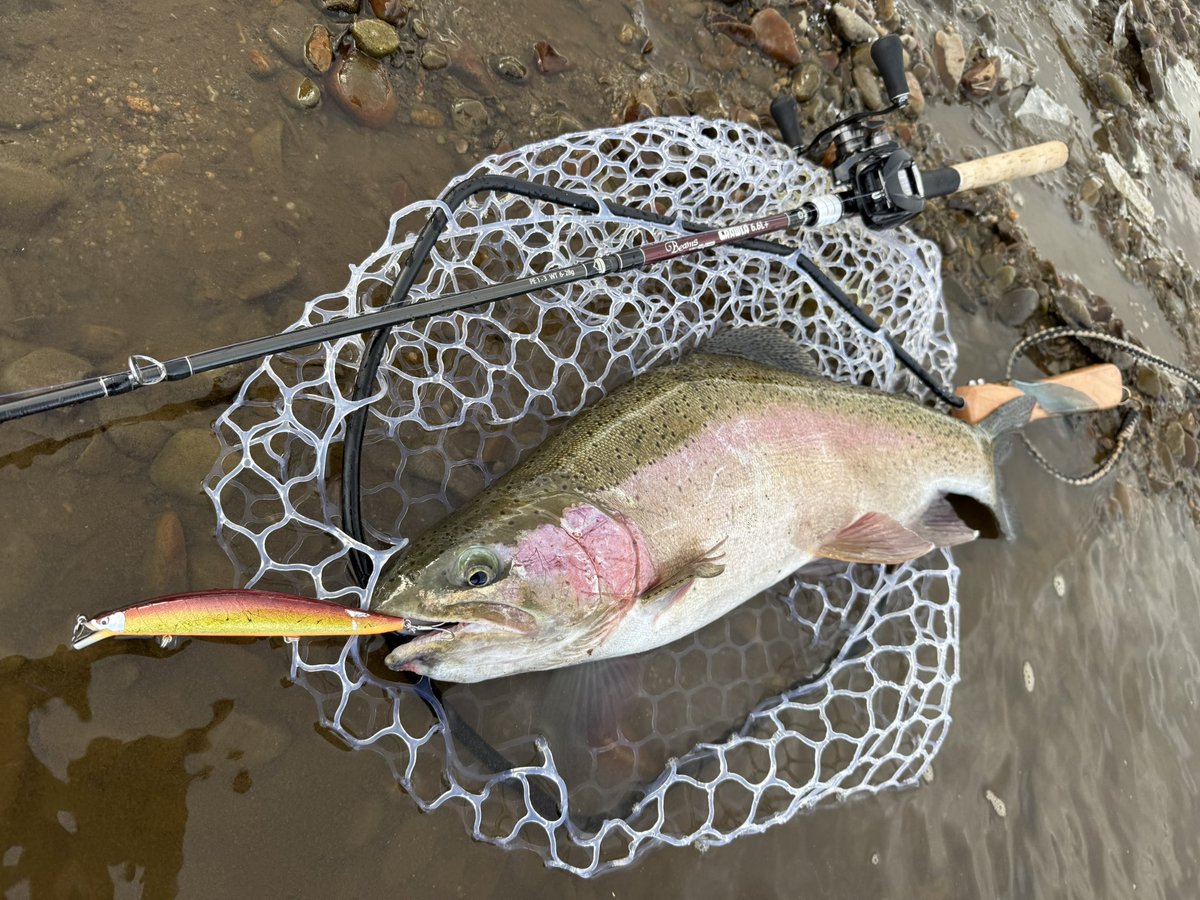 oga_0624_'s tweet image. 本流アメマスを狙うのにタナカクラフトのプロトミノー140Fをトゥイッチ入れながらスロー巻きしてると、まさかのデカレインボー66cm🌈
ロッドは張りが有ってミノーのトゥイッチ・ジャークがしやすいfishman:クローラ66L＋！！
#fishman
#アトミックスライダー
#タナカクラフト