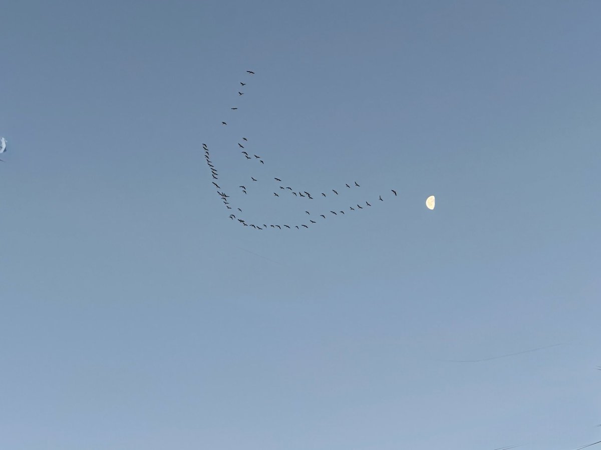 10th December 2025  07.49 &amp; 08.25