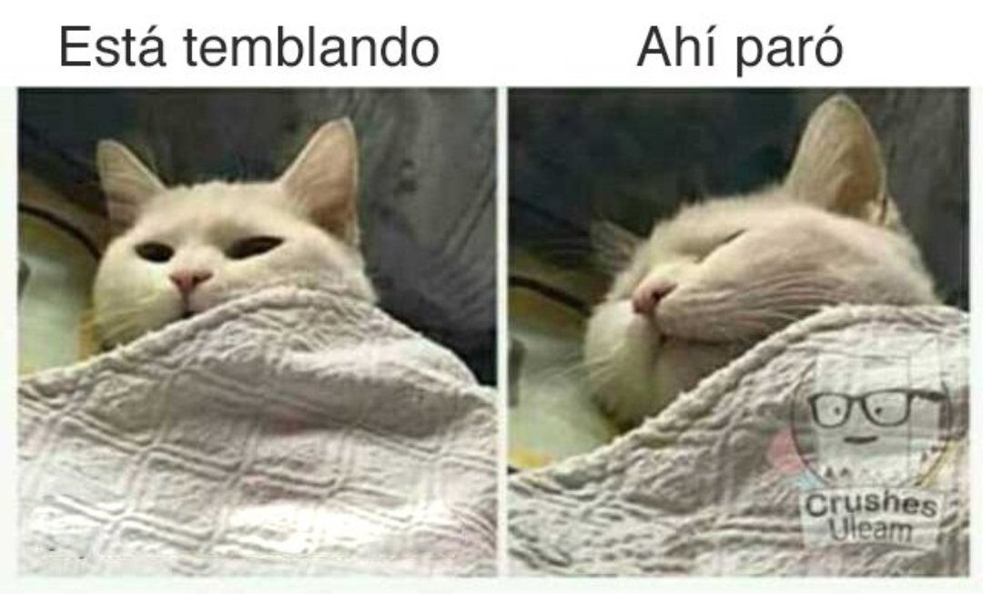 tirri_andres's tweet photo. 3.28 am
Bucaramanga, Santander
#Temblor https://t.co/BzX9IRBSGk