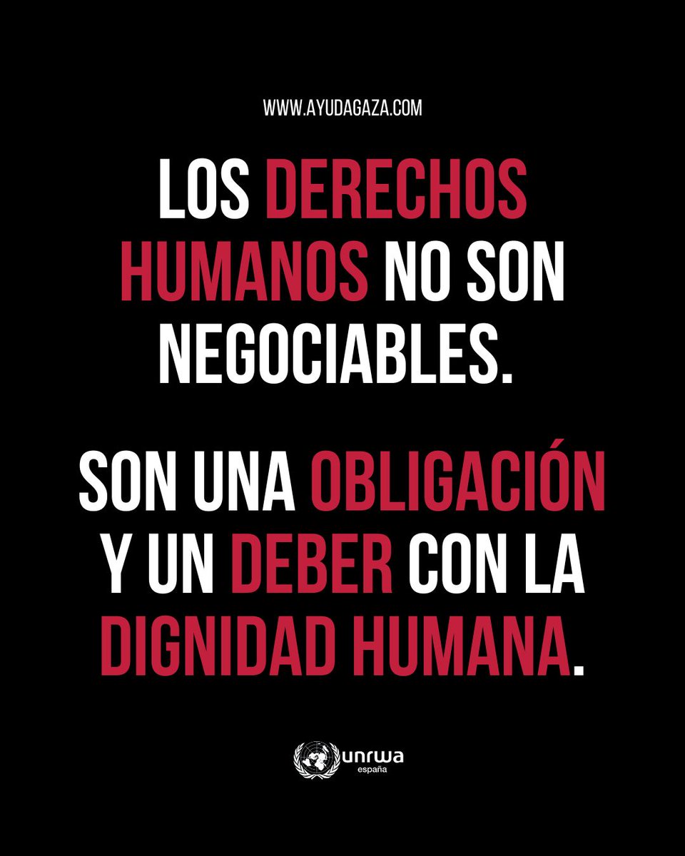 Hoy, #DíaInternacionalDerechosHumanos, recordamos que en Gaza los derechos humanos no son una sugerencia. Son una obligación. Mientras las vulneraciones se multiplican, el personal de UNRWA sigue protegiendo vidas y sosteniendo esperanza. Defender los DDHH es innegociable.