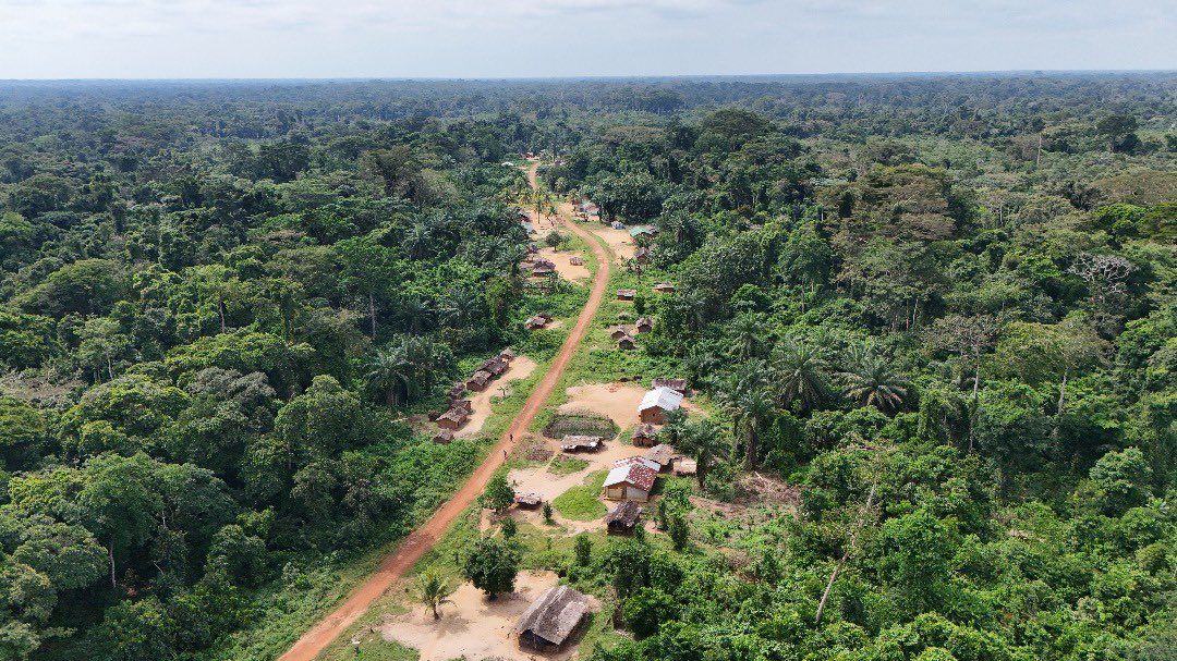 Norvège en RD Congo 🇳🇴🇨🇩 tweet media