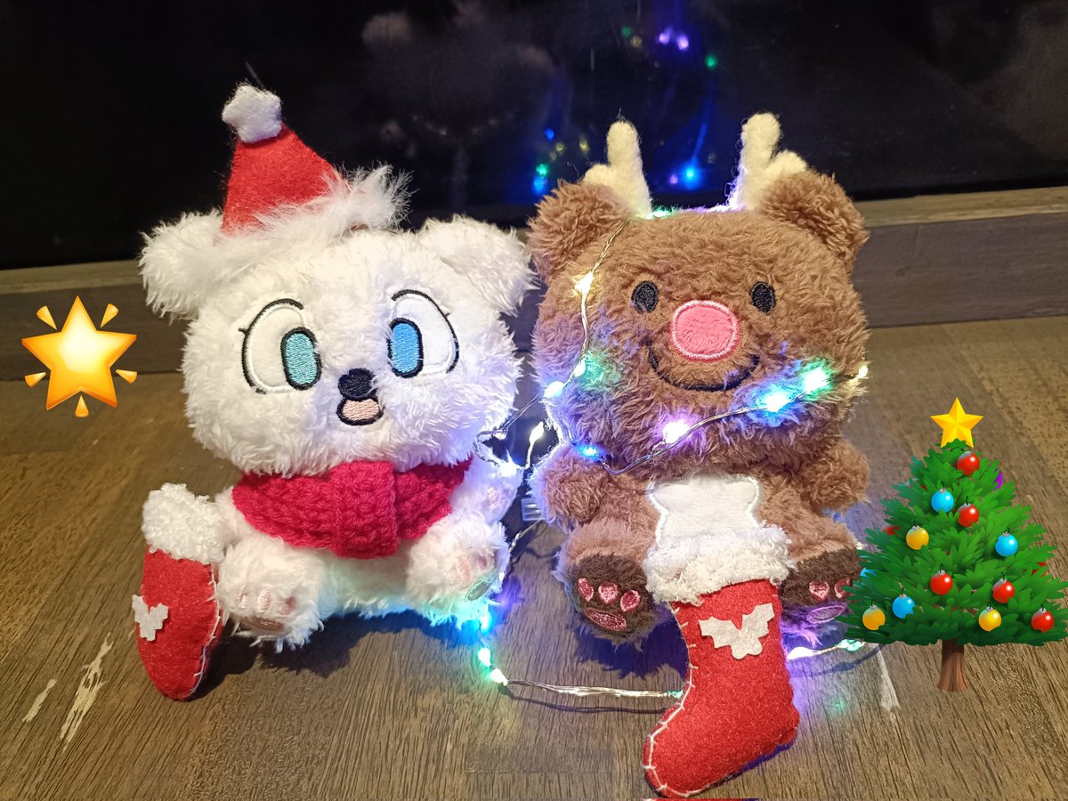 まゆかちゃんのクォジに付き合ってもらいやりたかったクリスマスEVNNIZ
