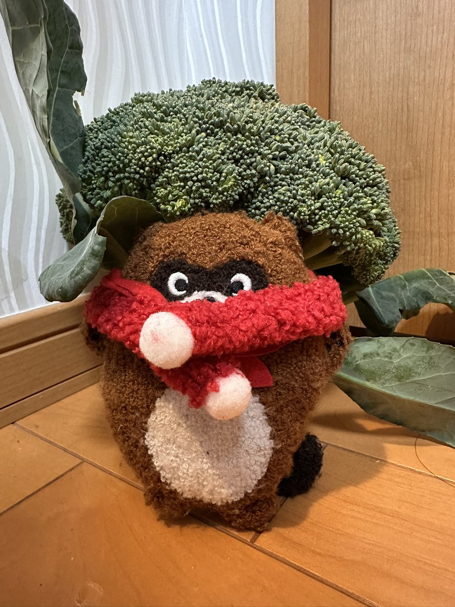 ご立派なブロッコリー🥦