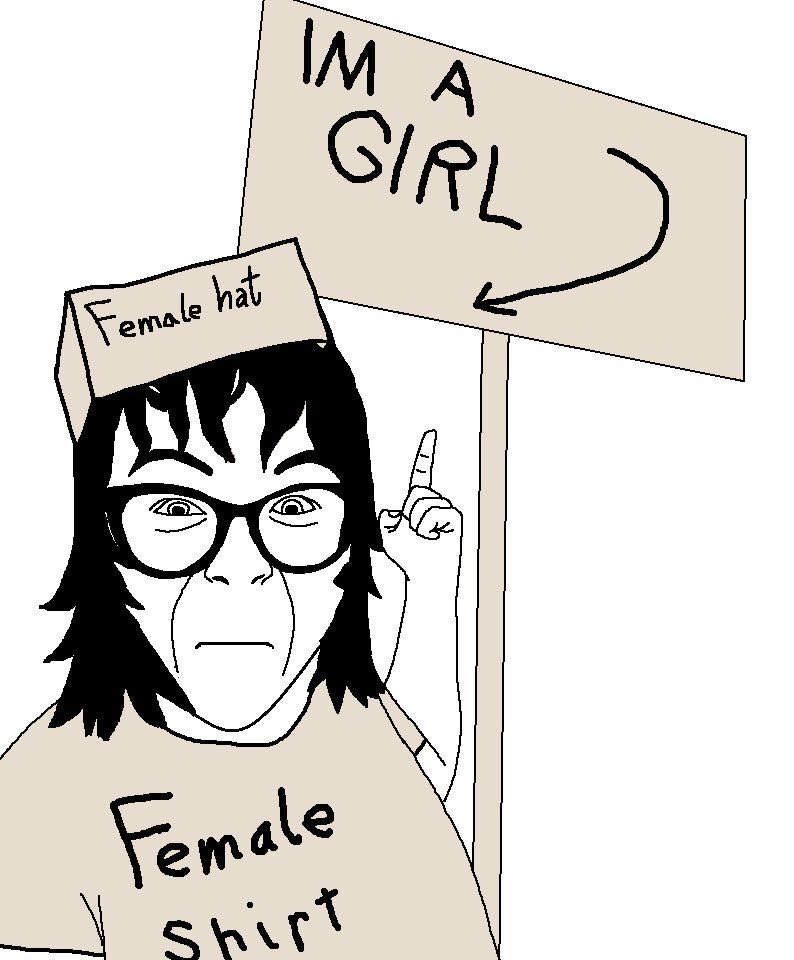 timekeeper tweet media