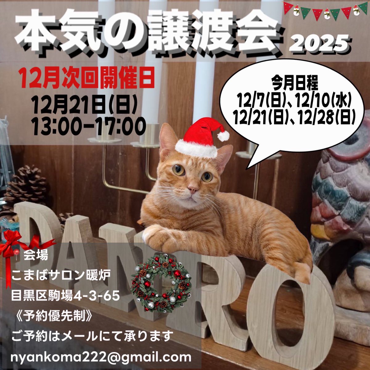 次回の本気の譲渡会は12/21(日)13:00~17:00です。 ご予約は