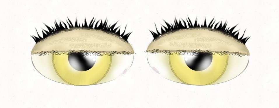 The Impostor Informer tweet media