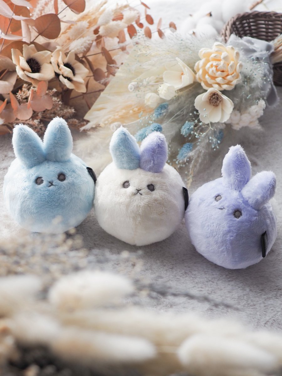 🍀Flower seeds🍀 (@flowerseeds7) / Posts / X