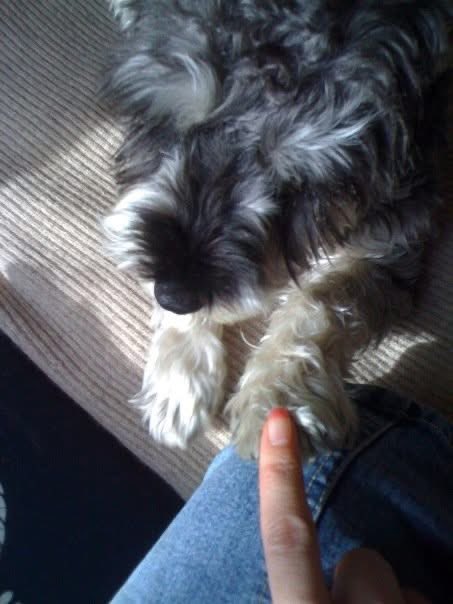 1歳頃のうーさん。　この頃はまだベイベーだったな〜🥰　E.Tってキャプションをつけておりましたw