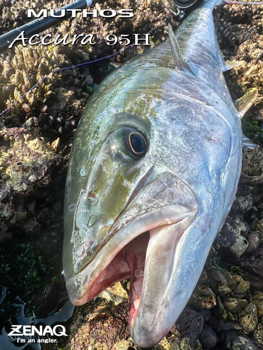 ゼナック　ギリー　ZENAQ Gillie Yahoo!オークション - ゼナック ギリー 53 GILLIE 渓流 トラウト ルア