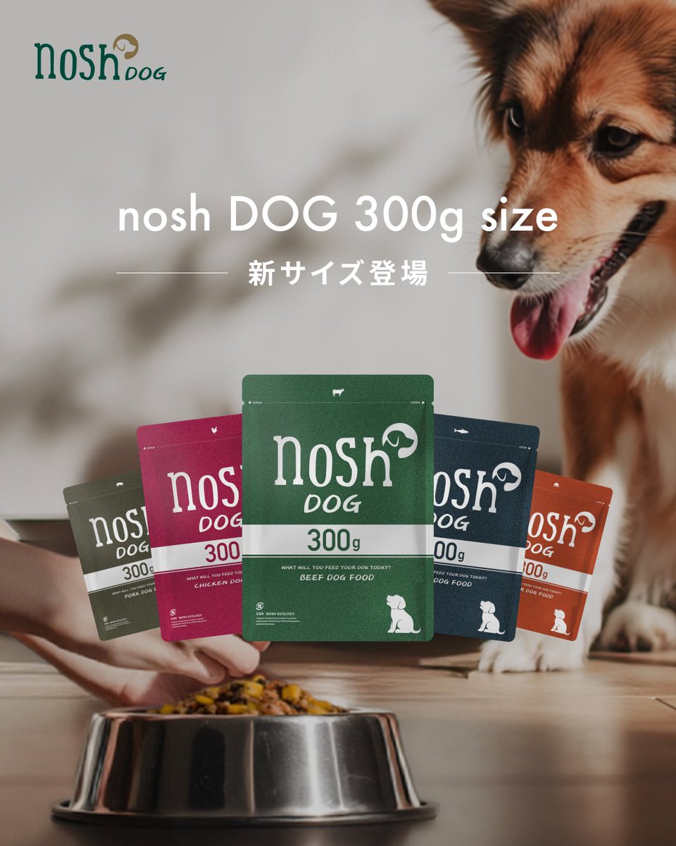 nosh DOG (@nosh_dog_fresh) / Posts / X