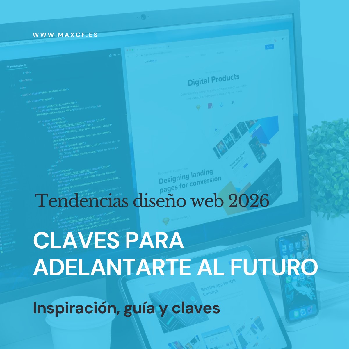 Max Camuñas tweet media