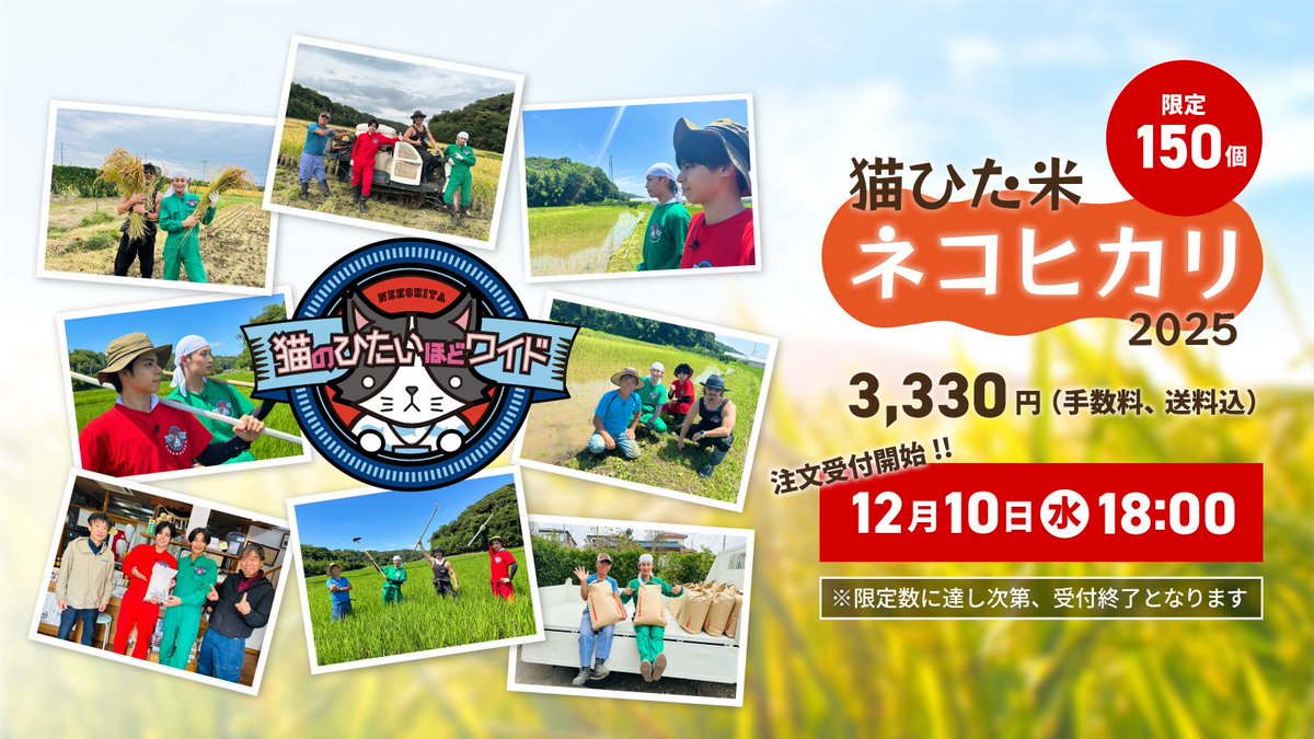 ✨「猫ひた米」ネコヒカリ2025🍚 12月10日（水）18:00～ 販売中