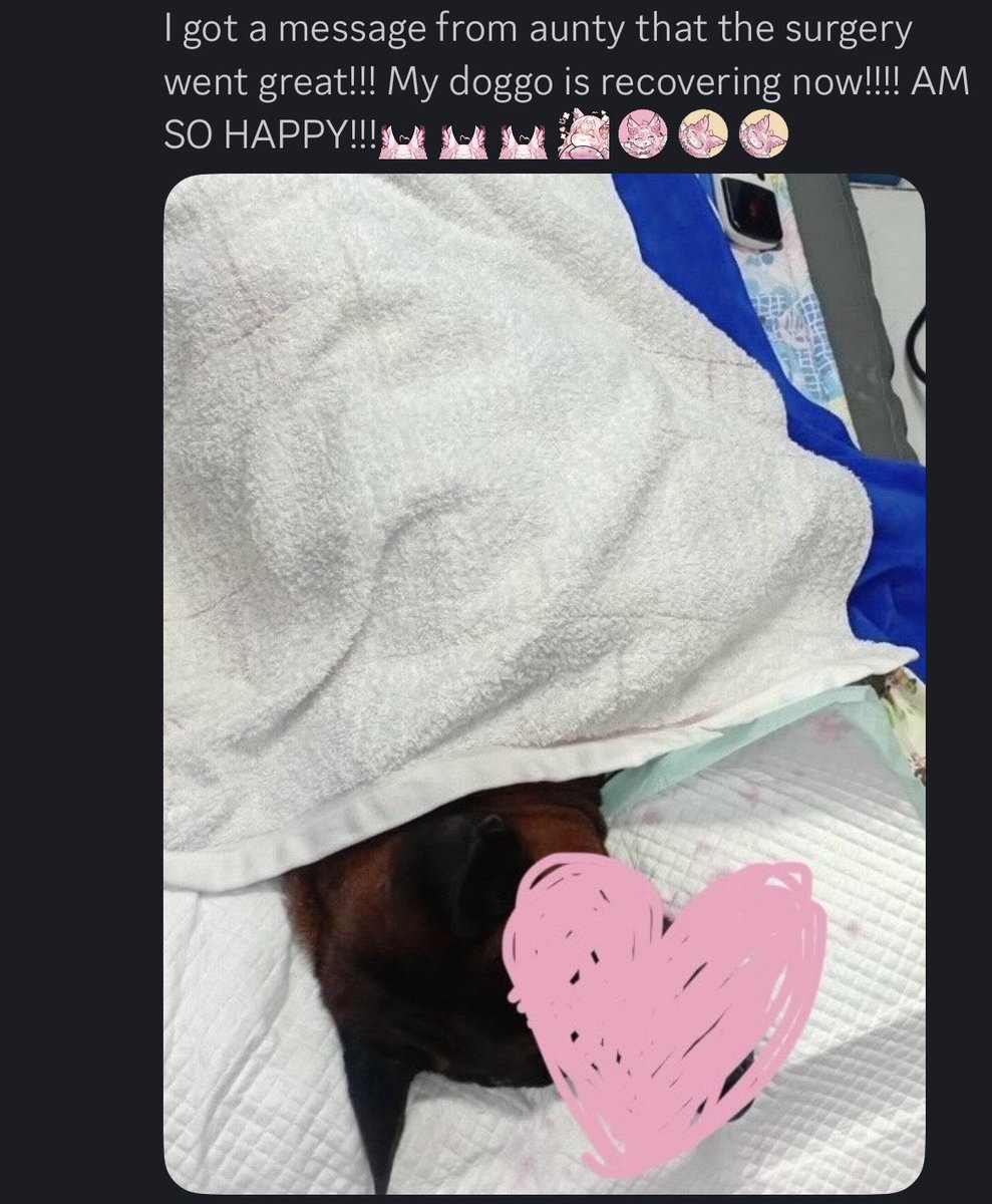 Sorry i havent been active here TvT i always wanted to post sth every 1-2 days but it’s been super busy with work, family and pet that I didn’t have the time to come up with anything🥲🥲

I might still be busy but I’ll have more time to draw than the last few days!🥹🥹