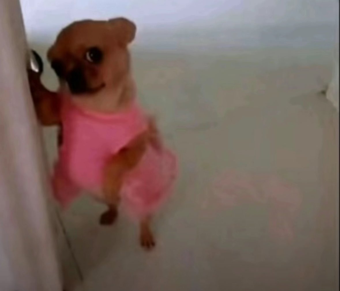 vic ᡣ𐭩 tweet media